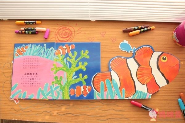 ✎小寶寶驚奇大拉頁書-海洋 基本概念