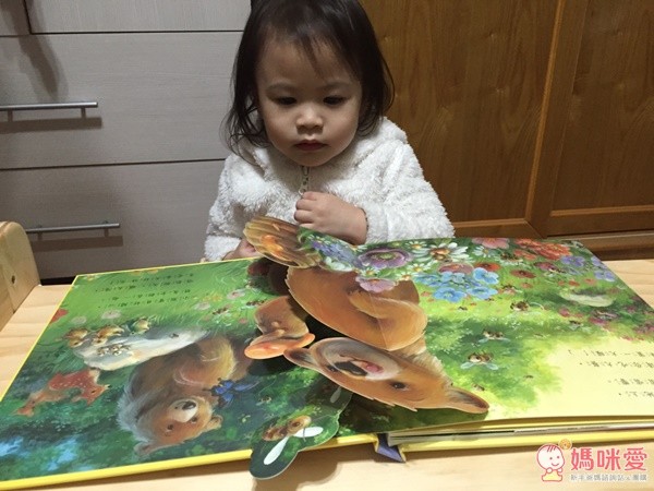 小熊寶貝愛春天