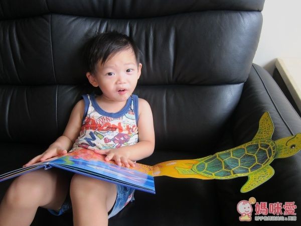 ✎小寶寶驚奇大拉頁書-海洋 基本概念