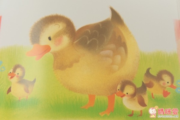 小雞球球成長繪本系列