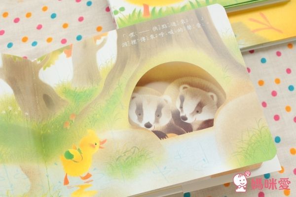 小雞球球成長繪本系列-全套六冊