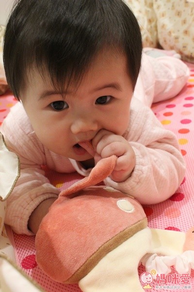 miYim 吊掛音樂拉鈴安撫玩具