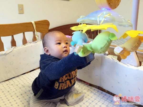 OUAPS 歐博士玩具系列