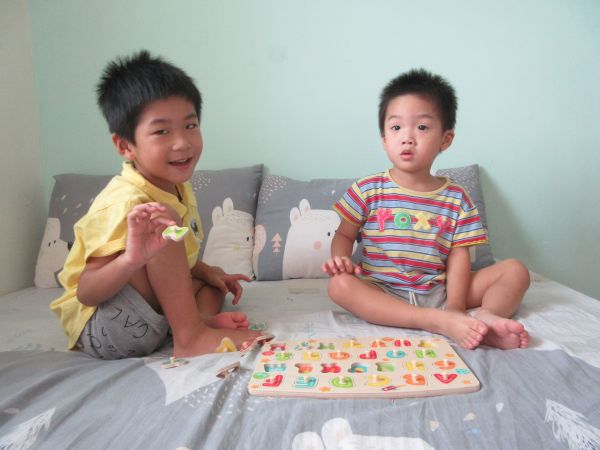 德國【Hape】天然實木質感立體拼圖 ✖ 配對拼圖