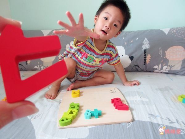 德國【Hape】天然實木質感立體拼圖 ✖ 配對拼圖