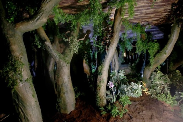 【臺灣科教館】顛倒屋特展 ＆ 深海巨怪展