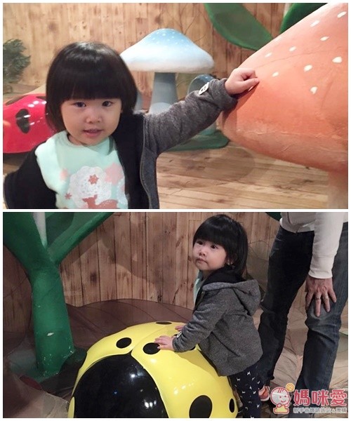 【臺灣科教館】顛倒屋特展 ＆ 深海巨怪展