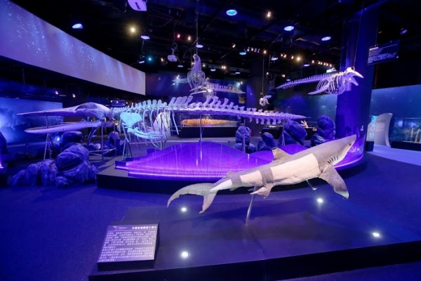 【臺灣科教館】顛倒屋特展 ＆ 深海巨怪展