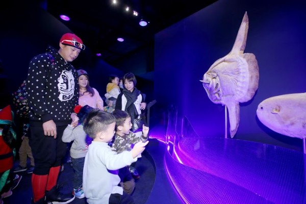 【臺灣科教館】顛倒屋特展 ＆ 深海巨怪展