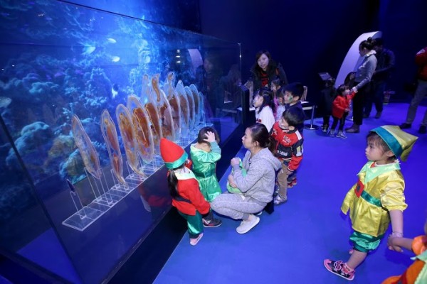 【臺灣科教館】顛倒屋特展 ＆ 深海巨怪展