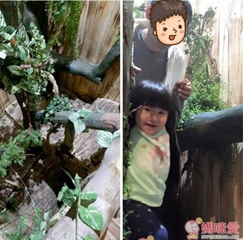 【臺灣科教館】顛倒屋特展 ＆ 深海巨怪展