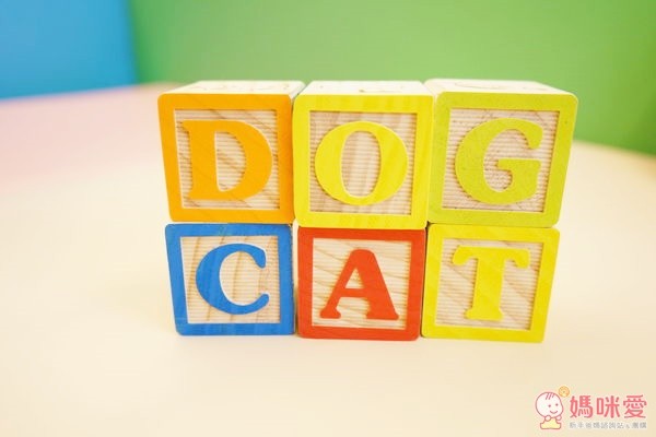 【 KC Friend 】益智玩具積木