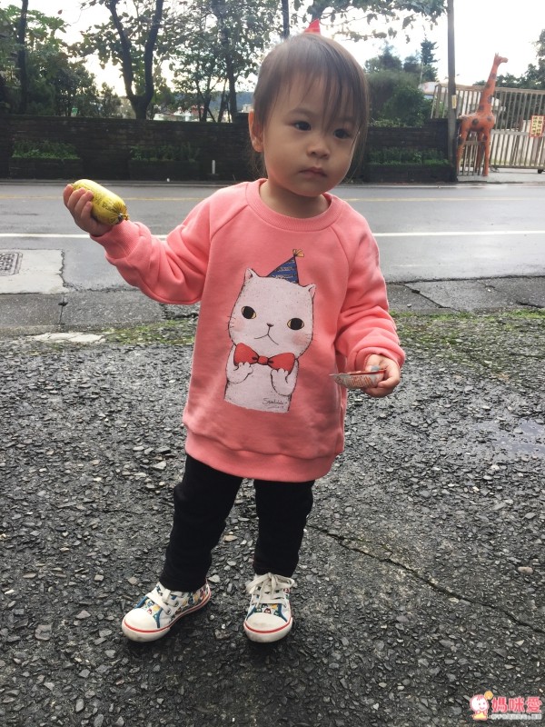 台灣設計製造 Fandora 的童趣 T-Shirt