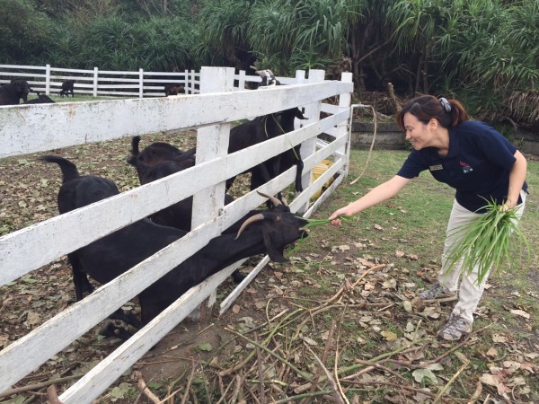 夜宿海生館x小墾丁渡假村