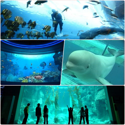 夜宿海生館x小墾丁渡假村