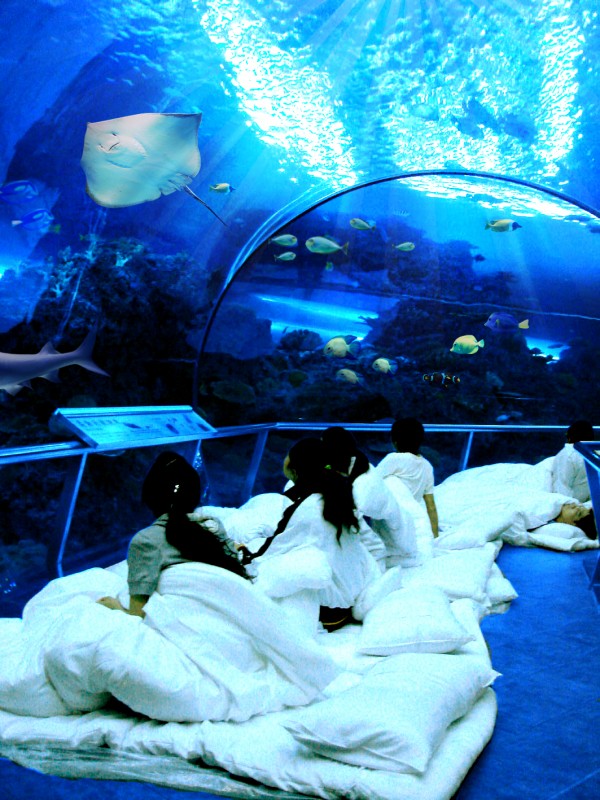 夜宿海生館x小墾丁渡假村