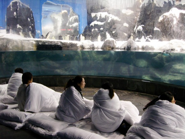 夜宿海生館x小墾丁渡假村