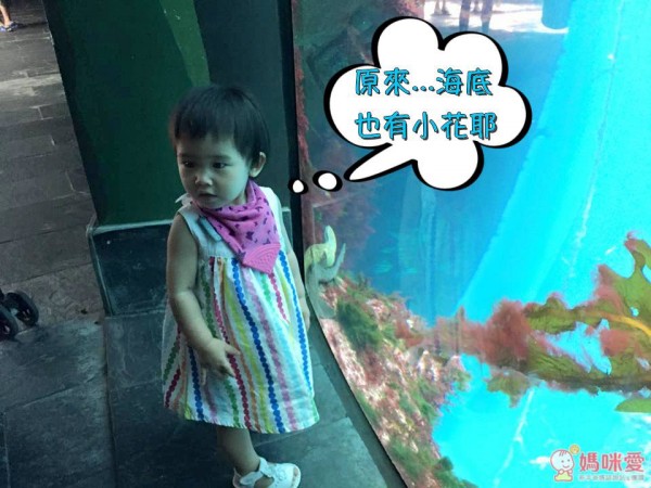 夜宿海生館x小墾丁渡假村