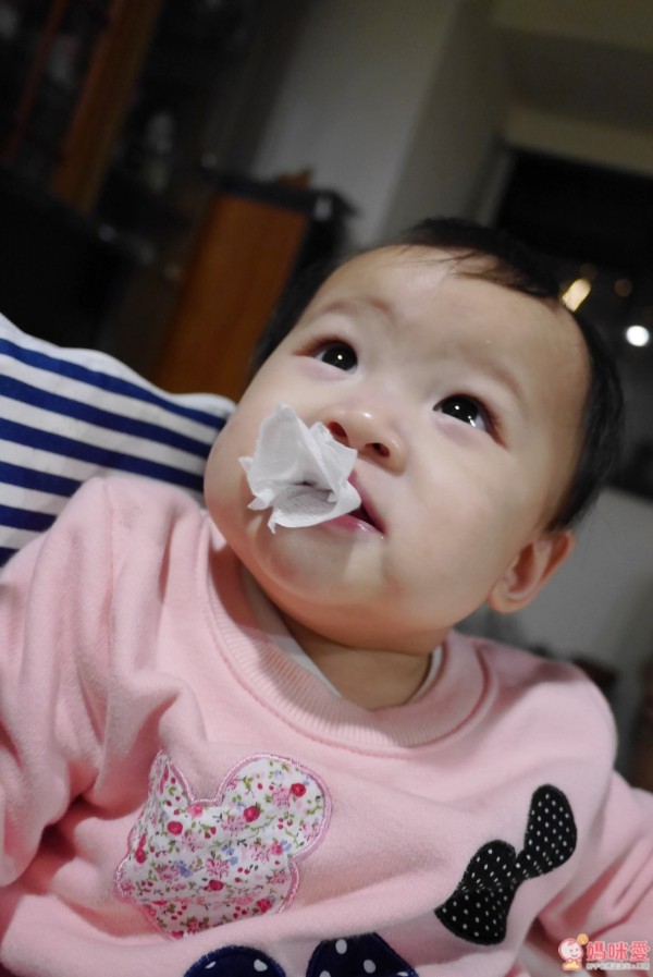 台灣製 Roushr 柔仕 乾濕兩用布巾