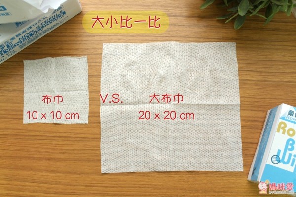 台灣製 Roushr 柔仕 乾濕兩用布巾