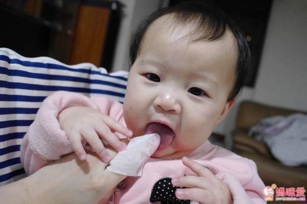 台灣製 Roushr 柔仕 乾濕兩用布巾