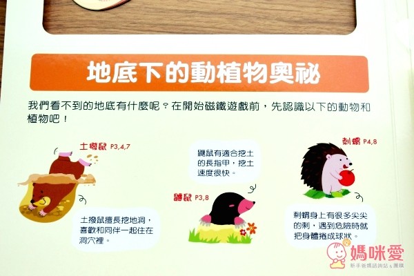 《磁鐵繪本》地底下動物