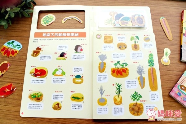 《磁鐵繪本》地底下動物