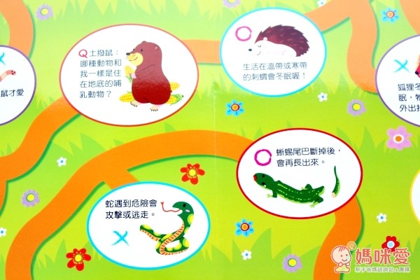 《磁鐵繪本》地底下動物