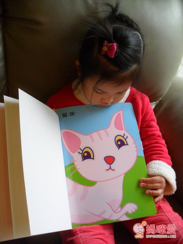 人類智庫-貼紙書系列