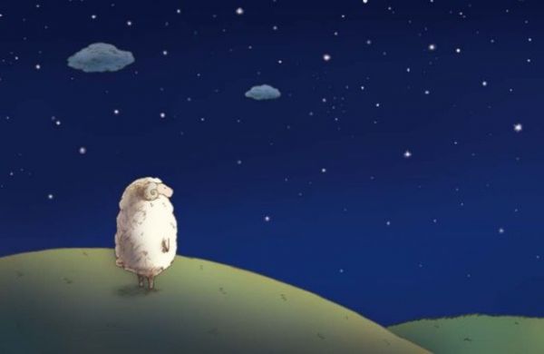 雲上的阿里