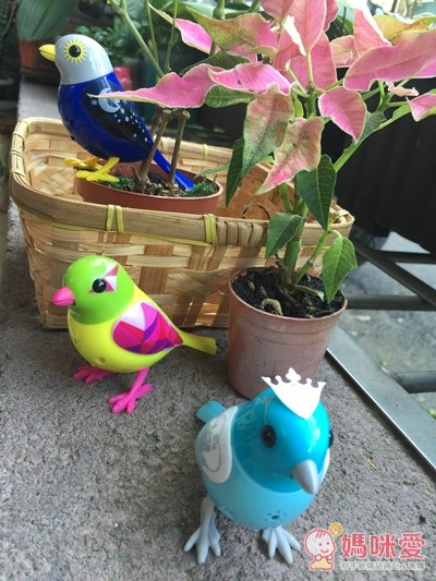 【Silverlit】知音鳥與知音恐龍