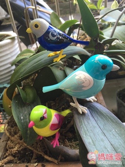 【Silverlit】知音鳥與知音恐龍