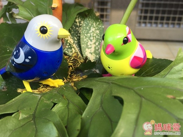 【Silverlit】知音鳥與知音恐龍