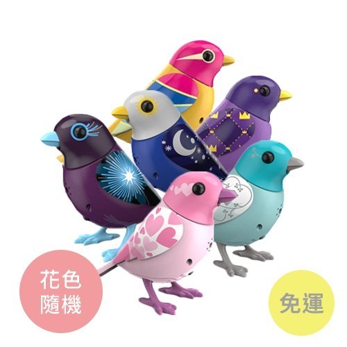 【Silverlit】知音鳥與知音恐龍