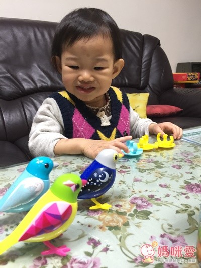 【Silverlit】知音鳥與知音恐龍