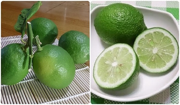 綠安生活 有機轉型期檸檬