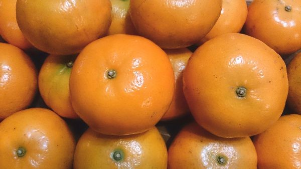 綠安生活 茂谷蜜柑 25A / 23A