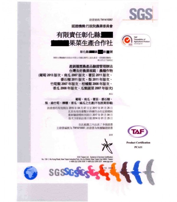 玉女小番茄（SGS 檢驗）