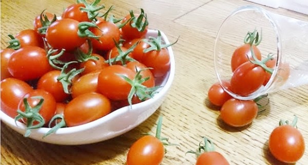 綠安生活 產銷履歷玉女小番茄