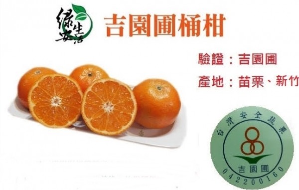 綠安生活 吉園圃桶柑 23A 