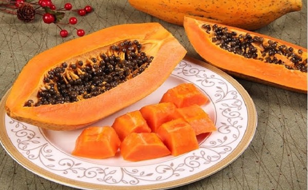 綠安生活 有機轉型期網室木瓜