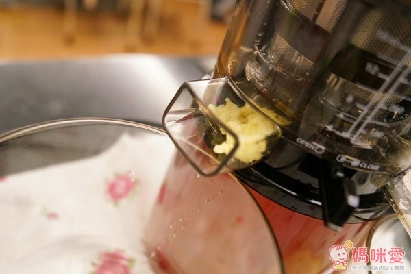 韓國 Hurom 慢磨蔬果機