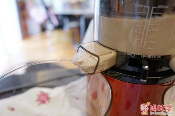 韓國 Hurom 慢磨蔬果機