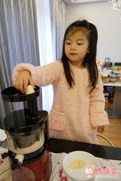 韓國 Hurom 慢磨蔬果機