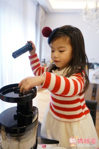 韓國 Hurom 慢磨蔬果機