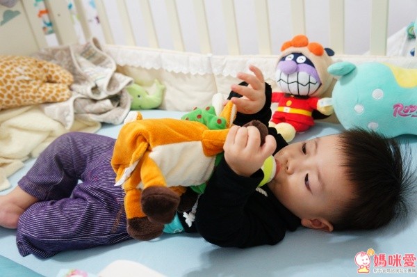 美國Bottle Pets 奶瓶娃娃/安撫巾