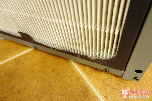 瑞典 Blueair 空氣清淨機