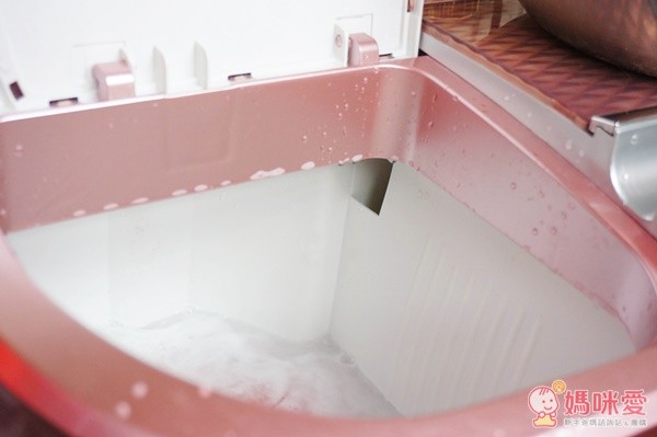  FIRST 富仕特 3KG 節能雙槽洗衣機（ZW-268S）