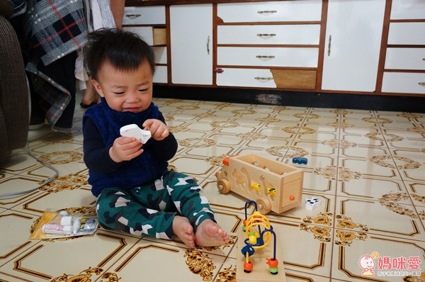 日本 Ed.inter 動物小豆豆巴士