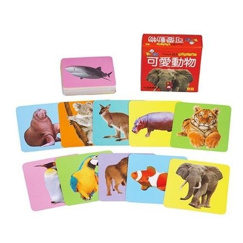 【風車圖書】 認知學習大尺寸圖卡